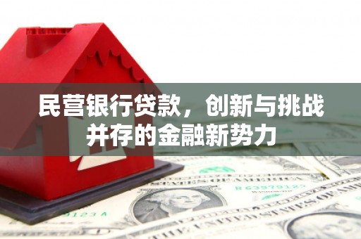 达孜民营银行贷款，创新与挑战并存的金融新势力