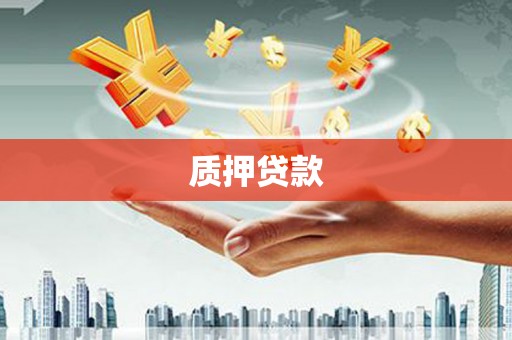 毕节质押贷款