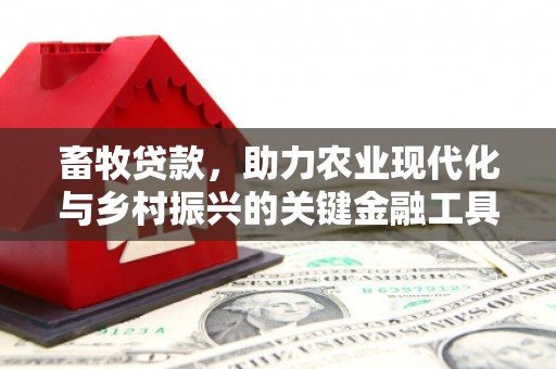 石门畜牧贷款，助力农业现代化与乡村振兴的关键金融工具