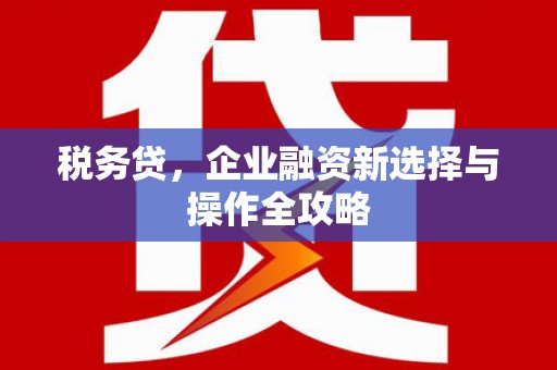嵩县税务贷，企业融资新选择与操作全攻略