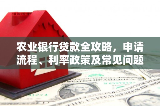 埇桥农业银行贷款全攻略，申请流程、利率政策及常见问题解析