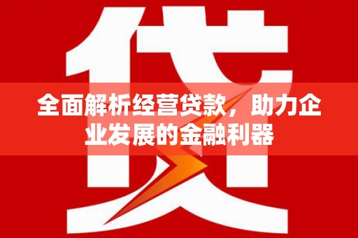 昌邑全面解析经营贷款，助力企业发展的金融利器