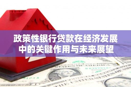 六枝政策性银行贷款在经济发展中的关键作用与未来展望
