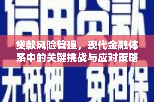 新都贷款风险管理，现代金融体系中的关键挑战与应对策略