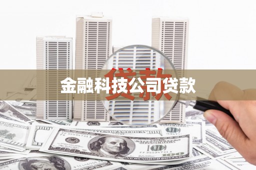 南宫金融科技公司贷款