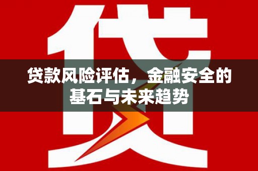 丰宁贷款风险评估，金融安全的基石与未来趋势