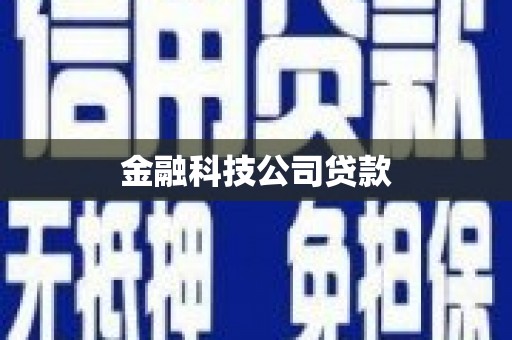 泗礁金融科技公司贷款