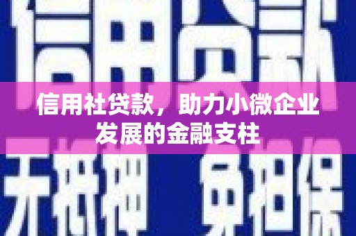 金溪信用社贷款，助力小微企业发展的金融支柱