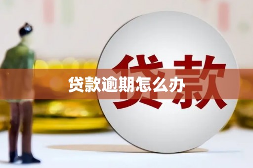 乐昌贷款逾期怎么办
