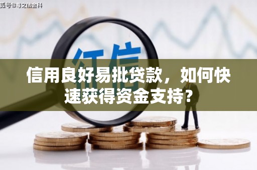 苑里信用良好易批贷款，如何快速获得资金支持？