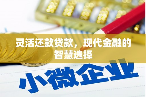 三穗灵活还款贷款，现代金融的智慧选择
