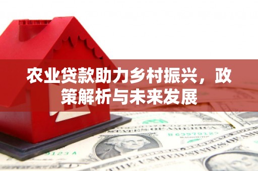 中卫农业贷款助力乡村振兴，政策解析与未来发展