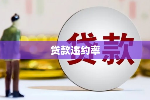 小金贷款违约率
