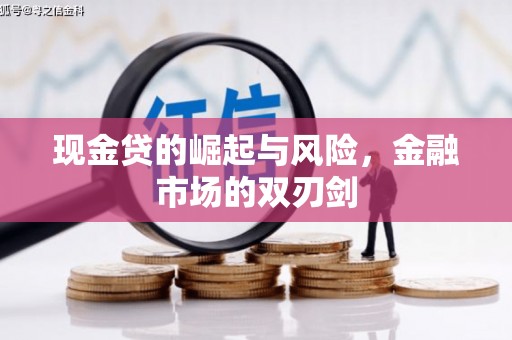 平南现金贷的崛起与风险，金融市场的双刃剑