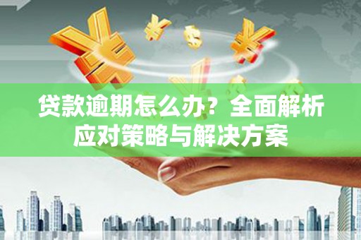 沧县贷款逾期怎么办？全面解析应对策略与解决方案