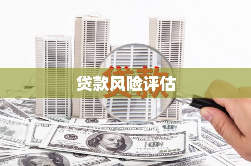 酉阳贷款风险评估