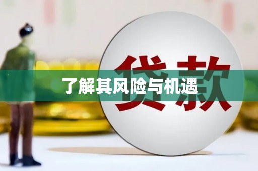 玉泉了解其风险与机遇