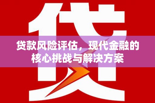 石排贷款风险评估，现代金融的核心挑战与解决方案