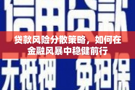 都昌贷款风险分散策略，如何在金融风暴中稳健前行