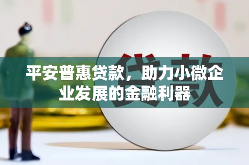 岭东平安普惠贷款，助力小微企业发展的金融利器