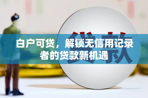 蒲城白户可贷，解锁无信用记录者的贷款新机遇
