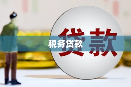 港南税务贷款