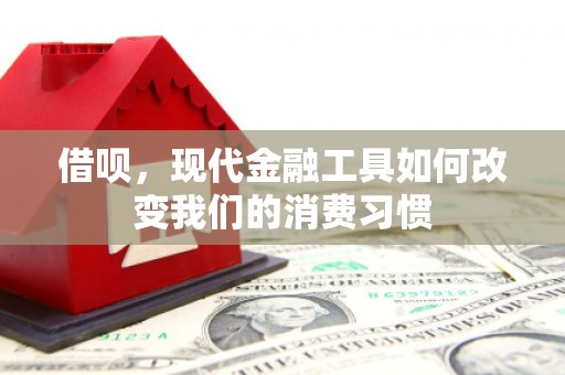 邵阳县借呗，现代金融工具如何改变我们的消费习惯