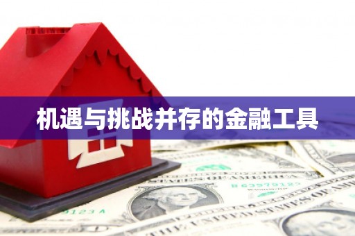 谢岗机遇与挑战并存的金融工具
