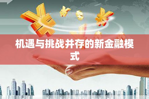 利津机遇与挑战并存的新金融模式