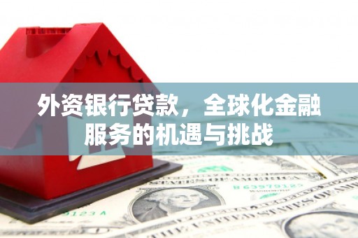 魏县外资银行贷款，全球化金融服务的机遇与挑战
