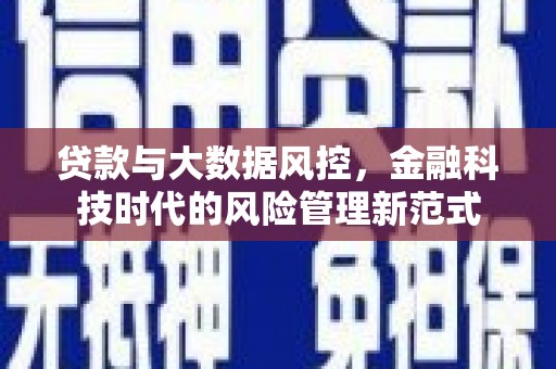 阿拉尔贷款与大数据风控，金融科技时代的风险管理新范式