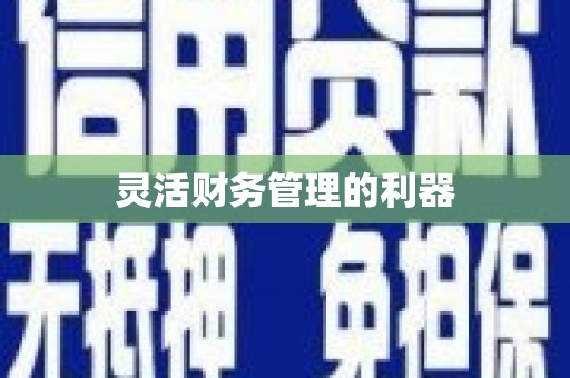 织金灵活财务管理的利器