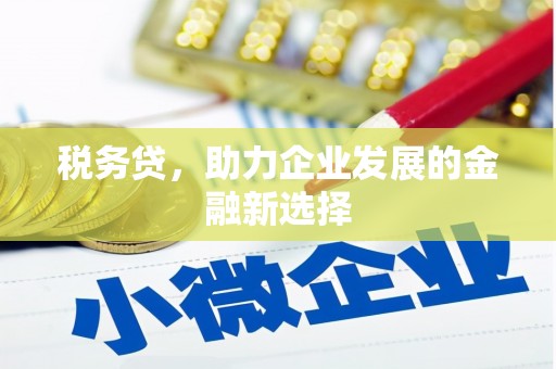 饶阳税务贷，助力企业发展的金融新选择