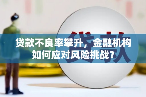 九龙城贷款不良率攀升，金融机构如何应对风险挑战？