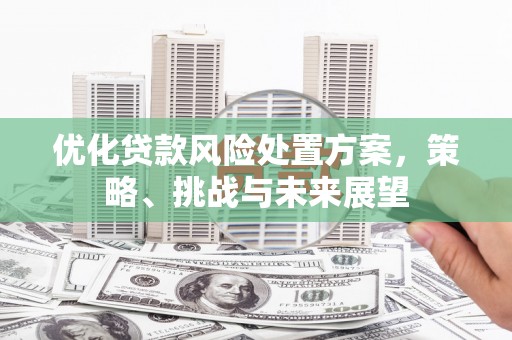 社旗优化贷款风险处置方案，策略、挑战与未来展望