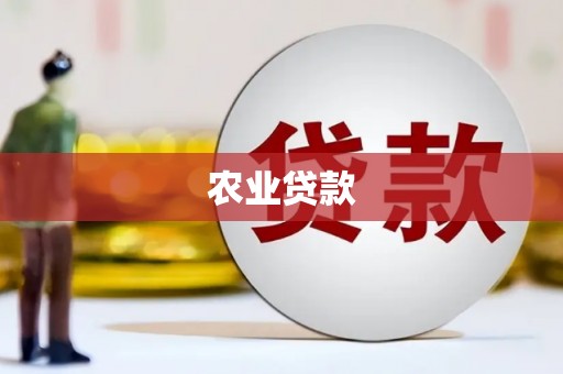 山阳农业贷款