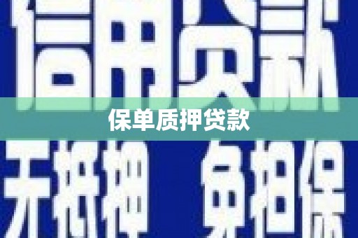 若羌保单质押贷款