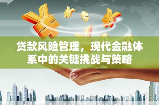 阿坝贷款风险管理，现代金融体系中的关键挑战与策略