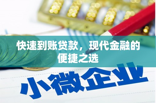 金州新区快速到账贷款，现代金融的便捷之选