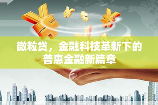 金州新区微粒贷，金融科技革新下的普惠金融新篇章