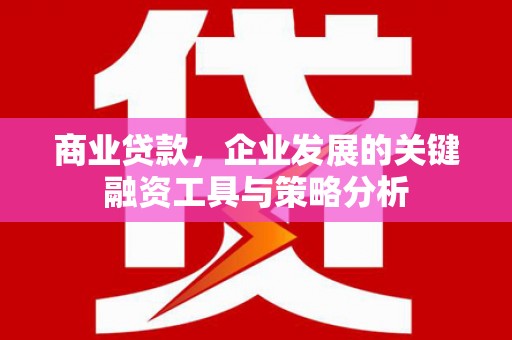 濮阳商业贷款，企业发展的关键融资工具与策略分析