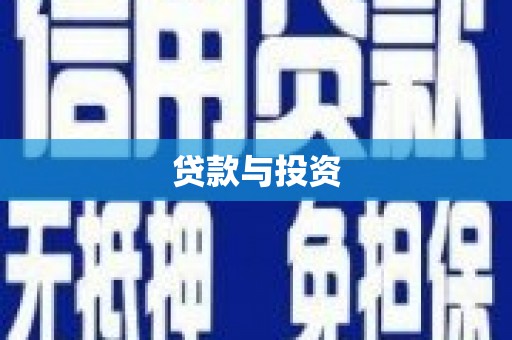 巍山贷款与投资
