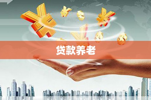 巍山贷款养老