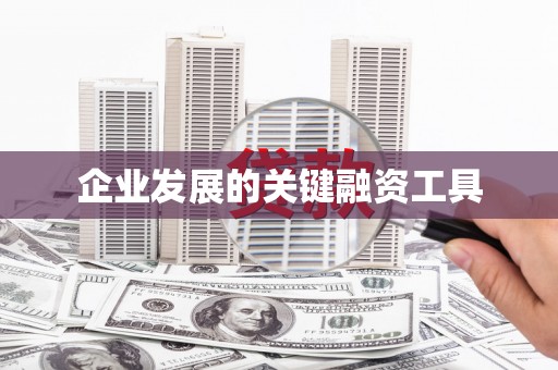 仁武企业发展的关键融资工具