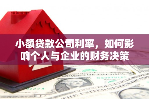 山亭小额贷款公司利率，如何影响个人与企业的财务决策
