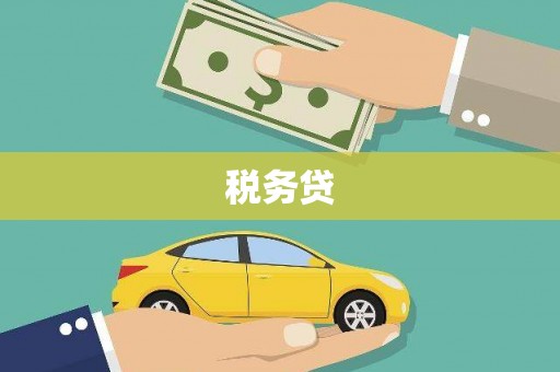山阳税务贷