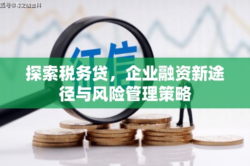 久治探索税务贷，企业融资新途径与风险管理策略
