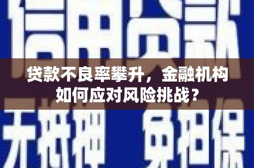潞城贷款不良率攀升，金融机构如何应对风险挑战？