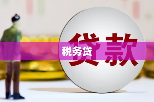 杉林税务贷