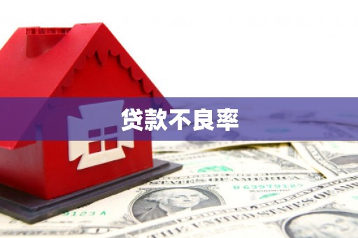 桂林贷款不良率
